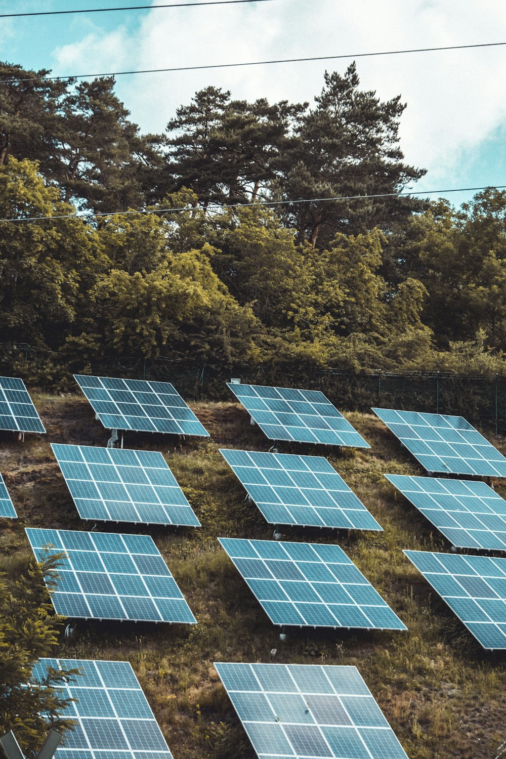 solar panels on green trees during daytime