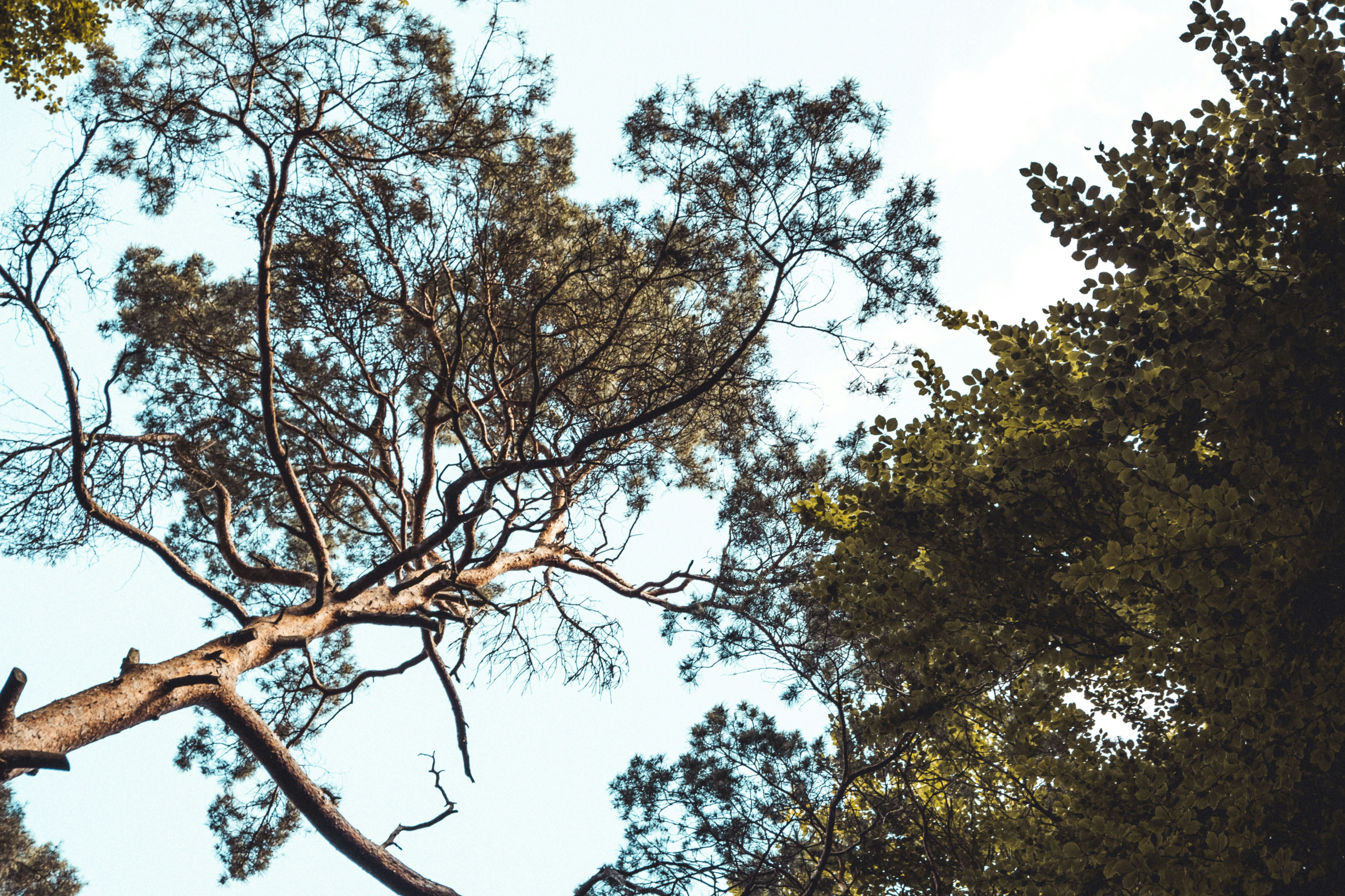 Photo by moritz_photography