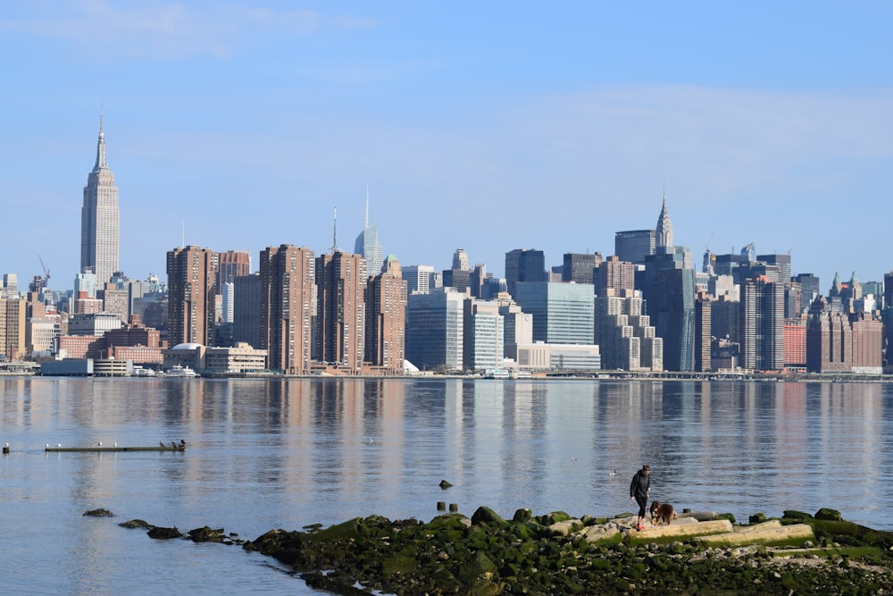 people sitting on rock near body of water during daytime