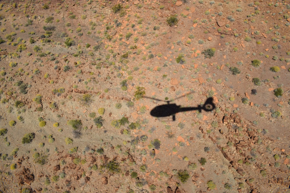 shadow of person on gray sand during daytime