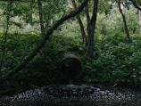 A circular drainage pipe nestled within a dense forest expels water into a dark, foamy pool. The surrounding area is lush with thick green foliage and towering trees, creating a secluded, natural atmosphere.