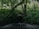 A circular drainage pipe nestled within a dense forest expels water into a dark, foamy pool. The surrounding area is lush with thick green foliage and towering trees, creating a secluded, natural atmosphere.