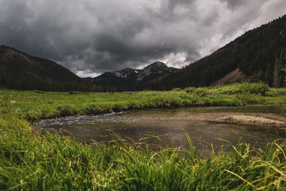 Champ d’herbe verte près de la montagne sous un ciel nuageux pendant la journée