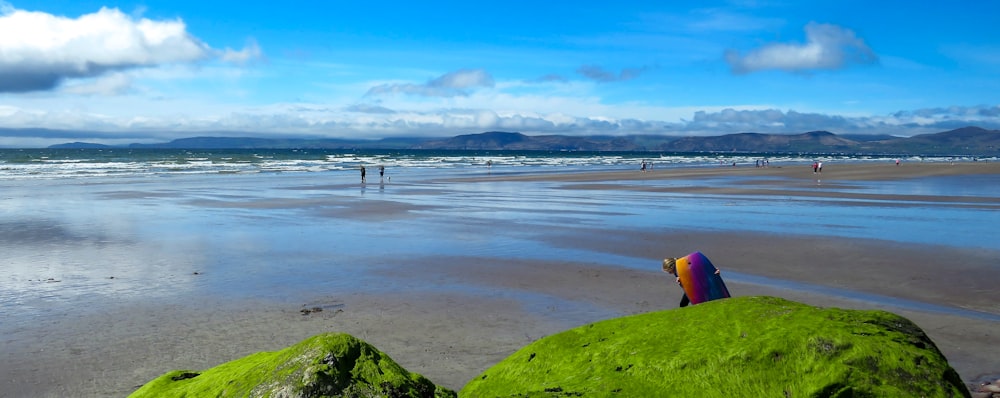 person in yellow shirt standing on green grass field near body of water during daytime