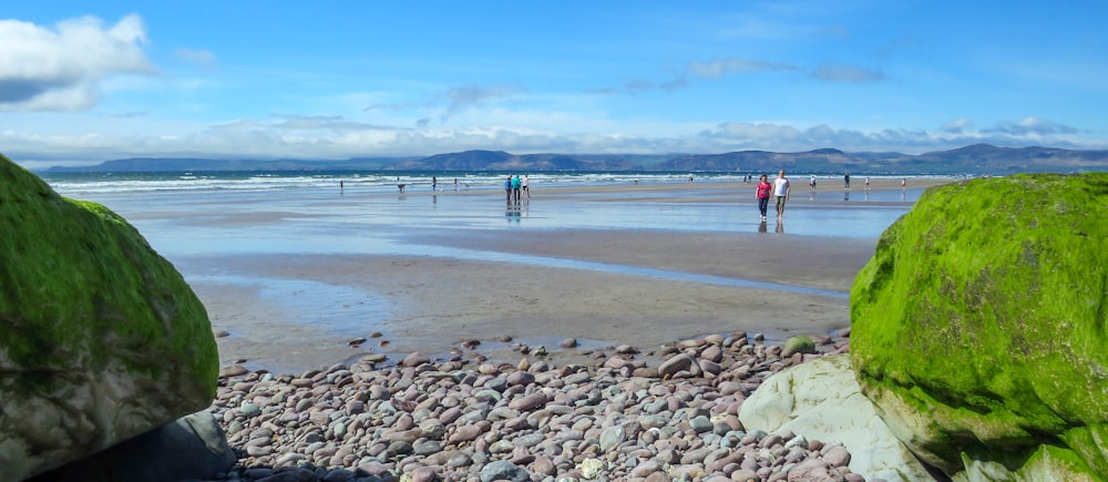 people walking on beach during daytime