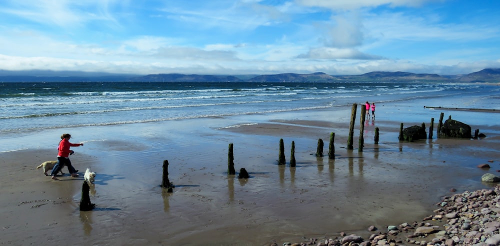 Poste de madera marrón en la orilla del mar durante el día