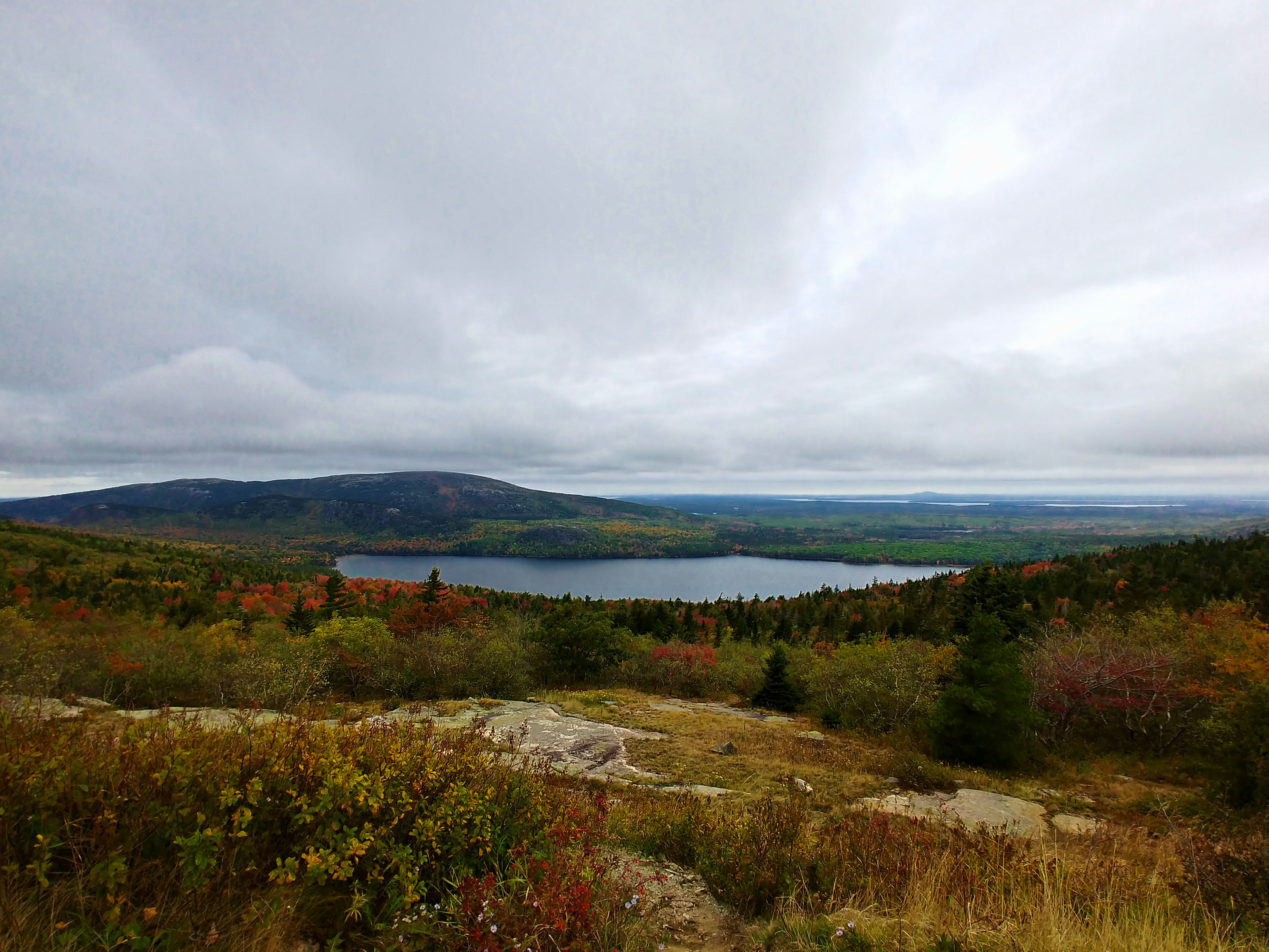 green grass field near body of water under cloudy sky during daytime