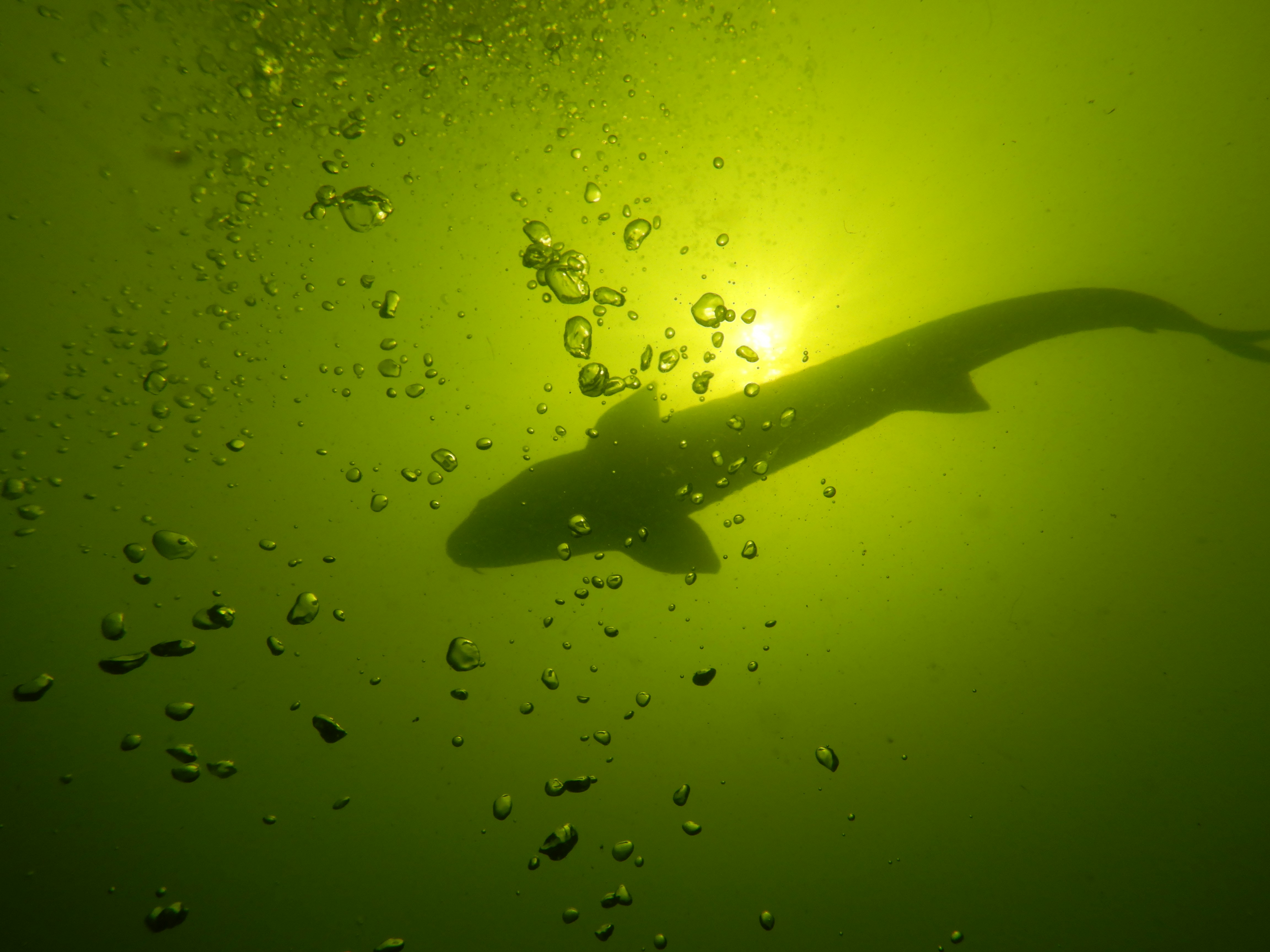 Photo by chrisbay101