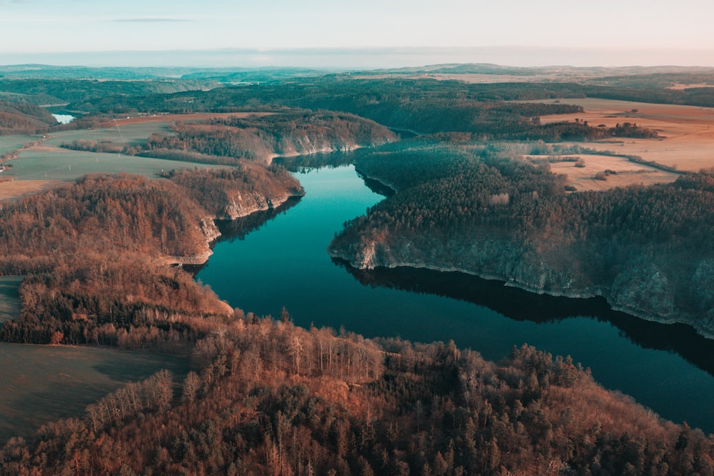 aerial view of lake surrounded by trees during daytime