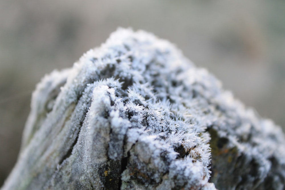 white snow on black rock