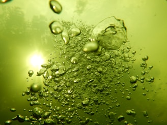 Close-up of bubbles rising from Troy Dynamo's oxygen circulation system in a beautifully lit aquarium.