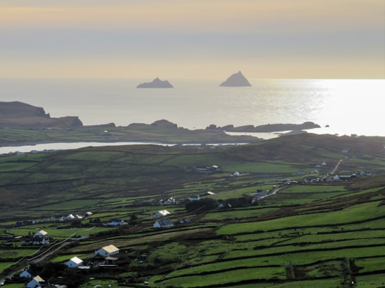 aerial view of green grass field near body of water during daytime in Valentia Island Ireland