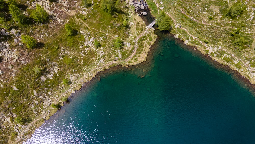 aerial view of green trees and body of water during daytime