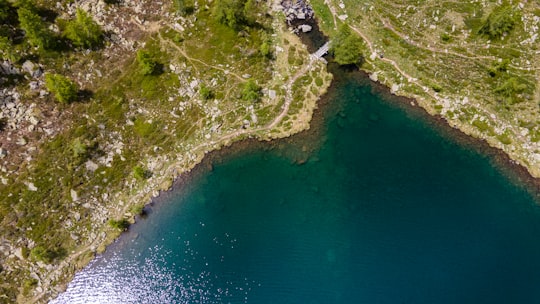 aerial view of green trees and body of water during daytime in Lago di Mognola Switzerland