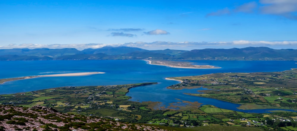 aerial view of green trees and body of water during daytime