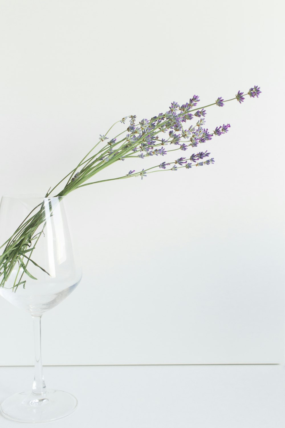 white flowers in clear glass vase