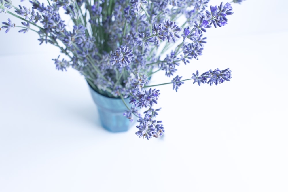purple flowers in blue ceramic vase