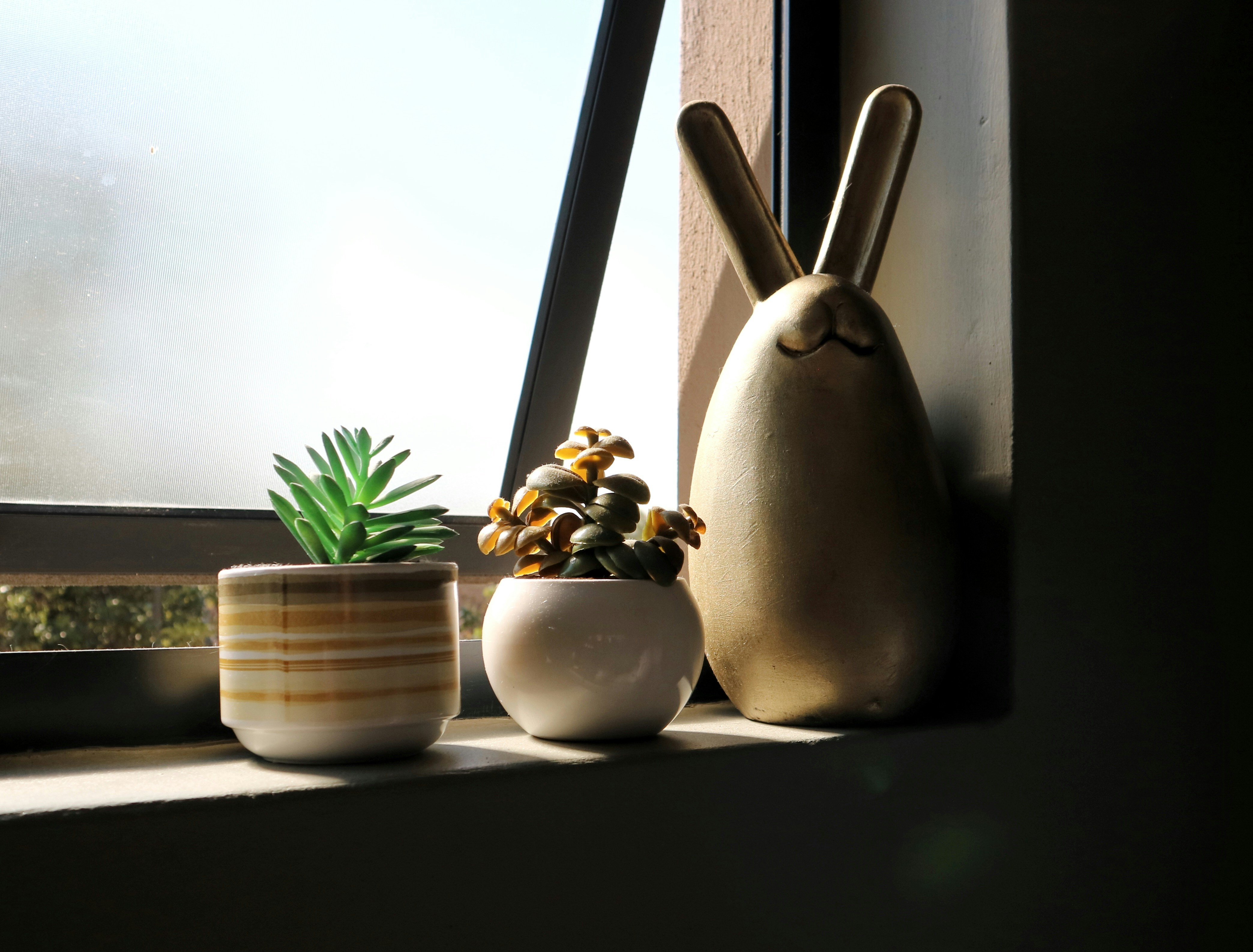 Photo by angelokarabo053