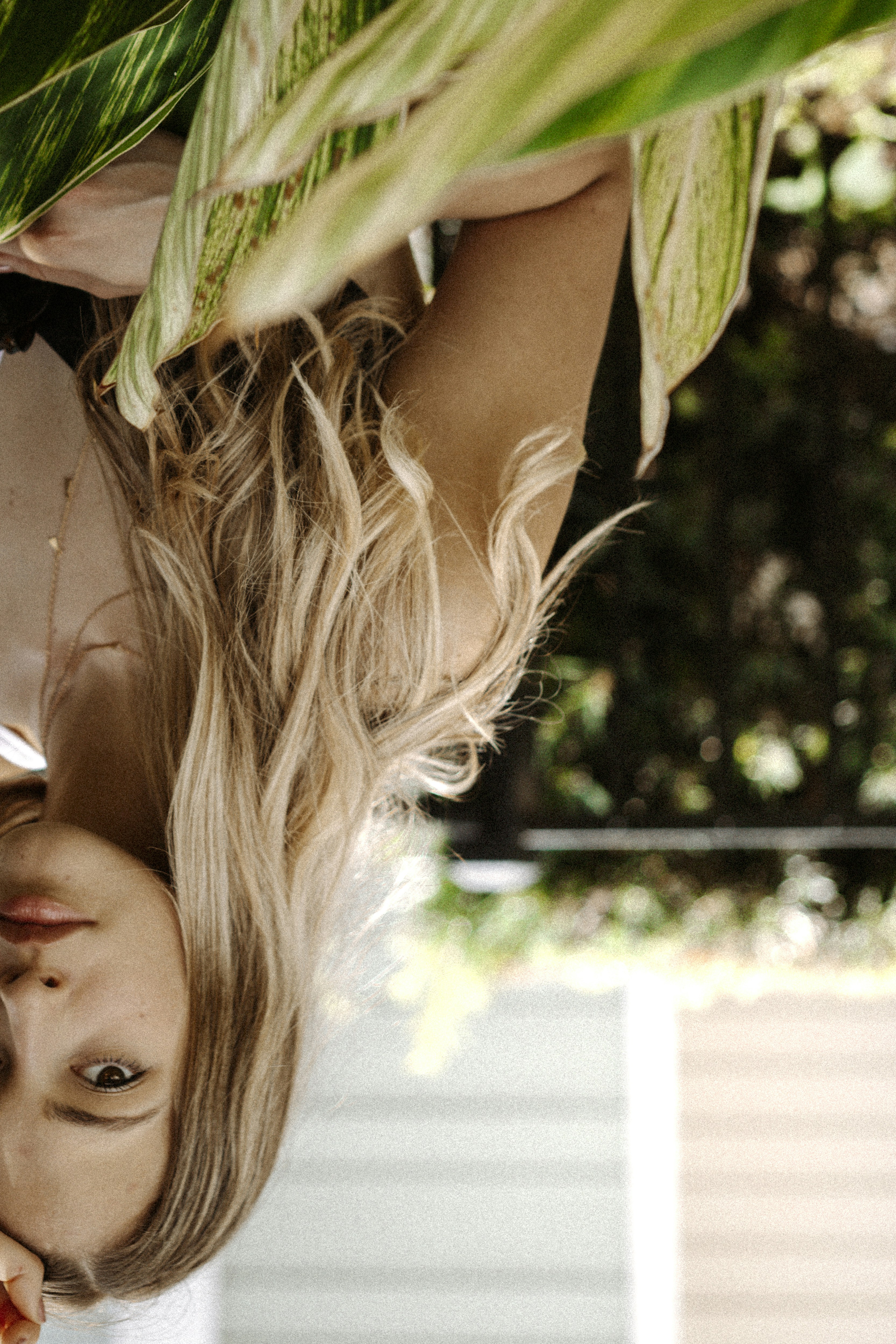 Photo by jphotomedia