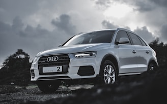 A well-maintained SUV with a polished exterior and clear windows under bright daylight.