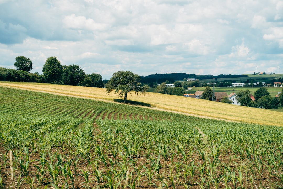 Farming Sustainably with Regenerative Agriculture | Restoring Paradise