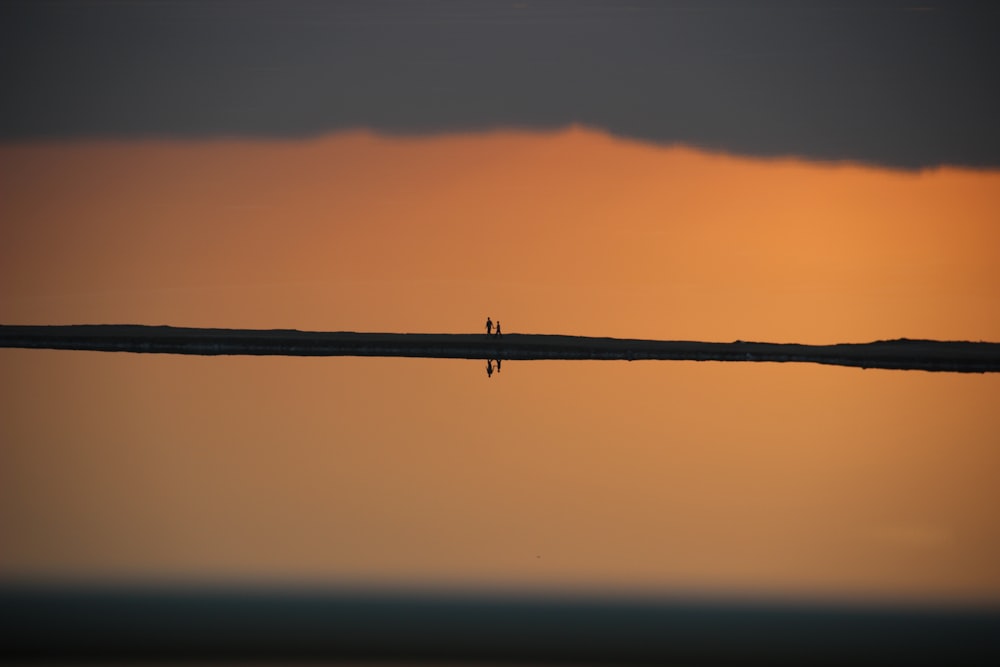 silhouette of person standing on brown wooden stick during sunset