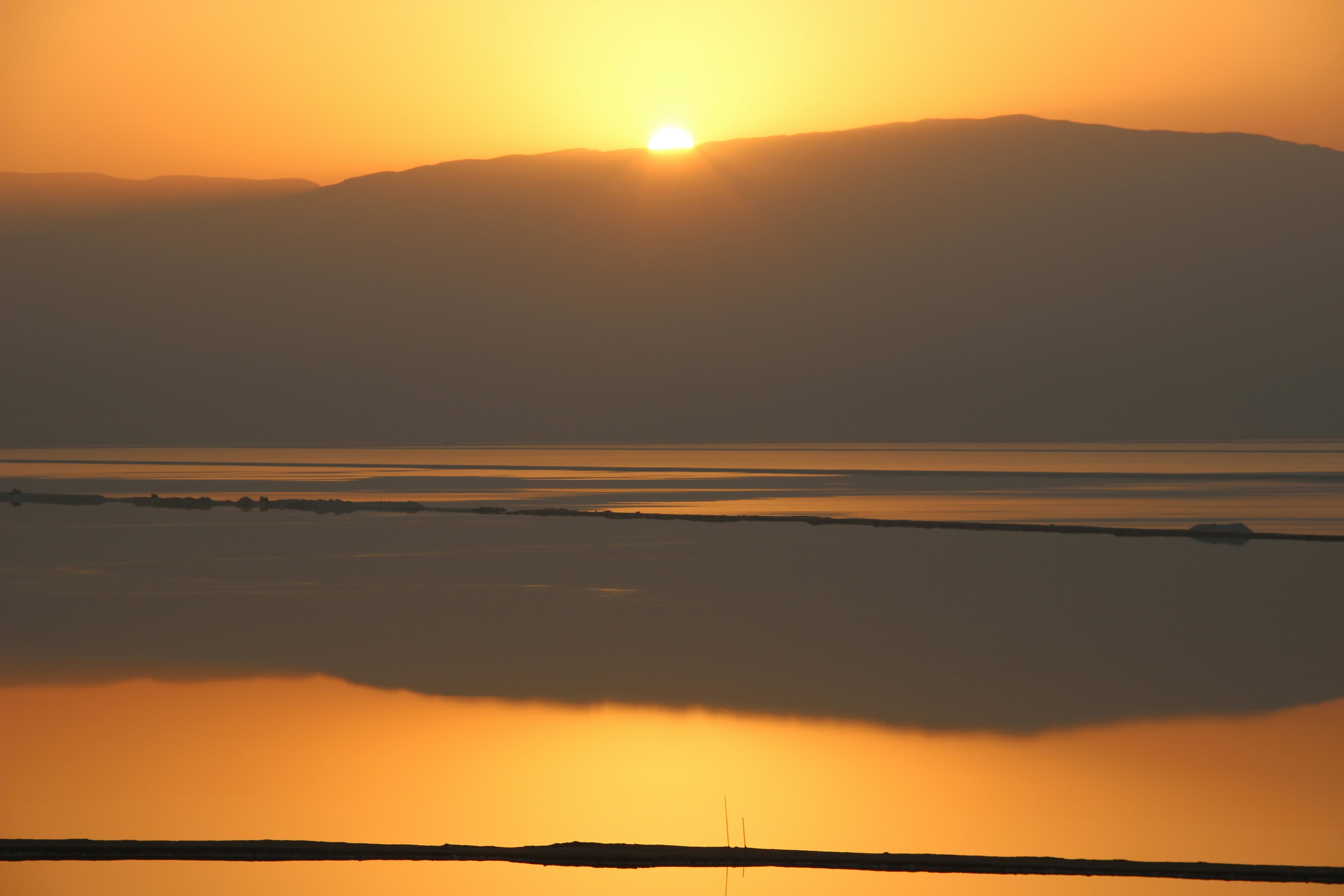 Photo by shalevcohen