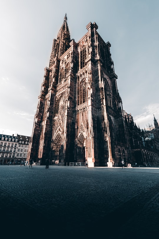 brown and black concrete building near body of water during daytime in Cathédrale Notre Dame de Strasbourg France