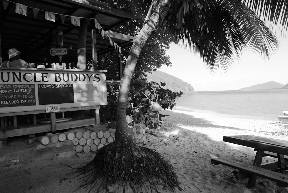 grayscale photo of beach shore