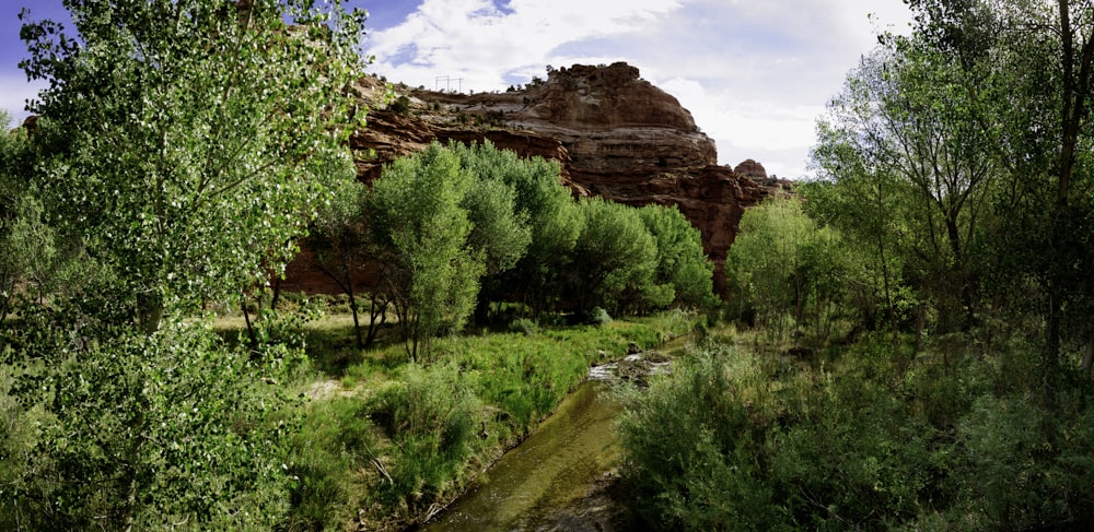 green grass field near brown rock formation under blue sky during daytime