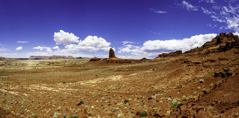 brown field under blue sky during daytime