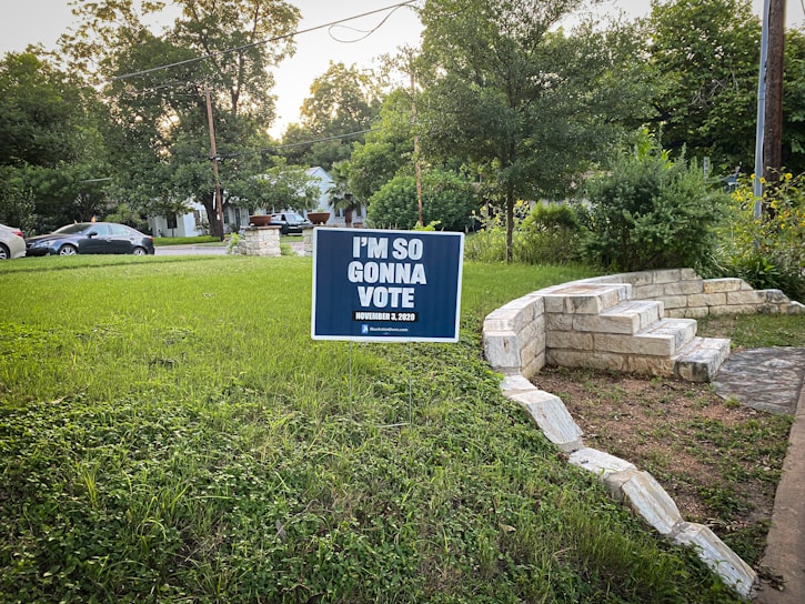 A yard sign with the message 'I'M SO GONNA VOTE' and the date 'November 3, 2020' stands on a grassy lawn. In the background, there are trees and a suburban neighborhood with parked cars and houses. The sign is supported by two slim metal stakes. A stone staircase and pathway are visible to the right.