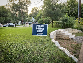 A yard sign with the message 'I'M SO GONNA VOTE' and the date 'November 3, 2020' stands on a grassy lawn. In the background, there are trees and a suburban neighborhood with parked cars and houses. The sign is supported by two slim metal stakes. A stone staircase and pathway are visible to the right.