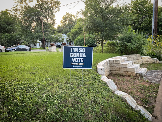 A yard sign with the message 'I'M SO GONNA VOTE' and the date 'November 3, 2020' stands on a grassy lawn. In the background, there are trees and a suburban neighborhood with parked cars and houses. The sign is supported by two slim metal stakes. A stone staircase and pathway are visible to the right.