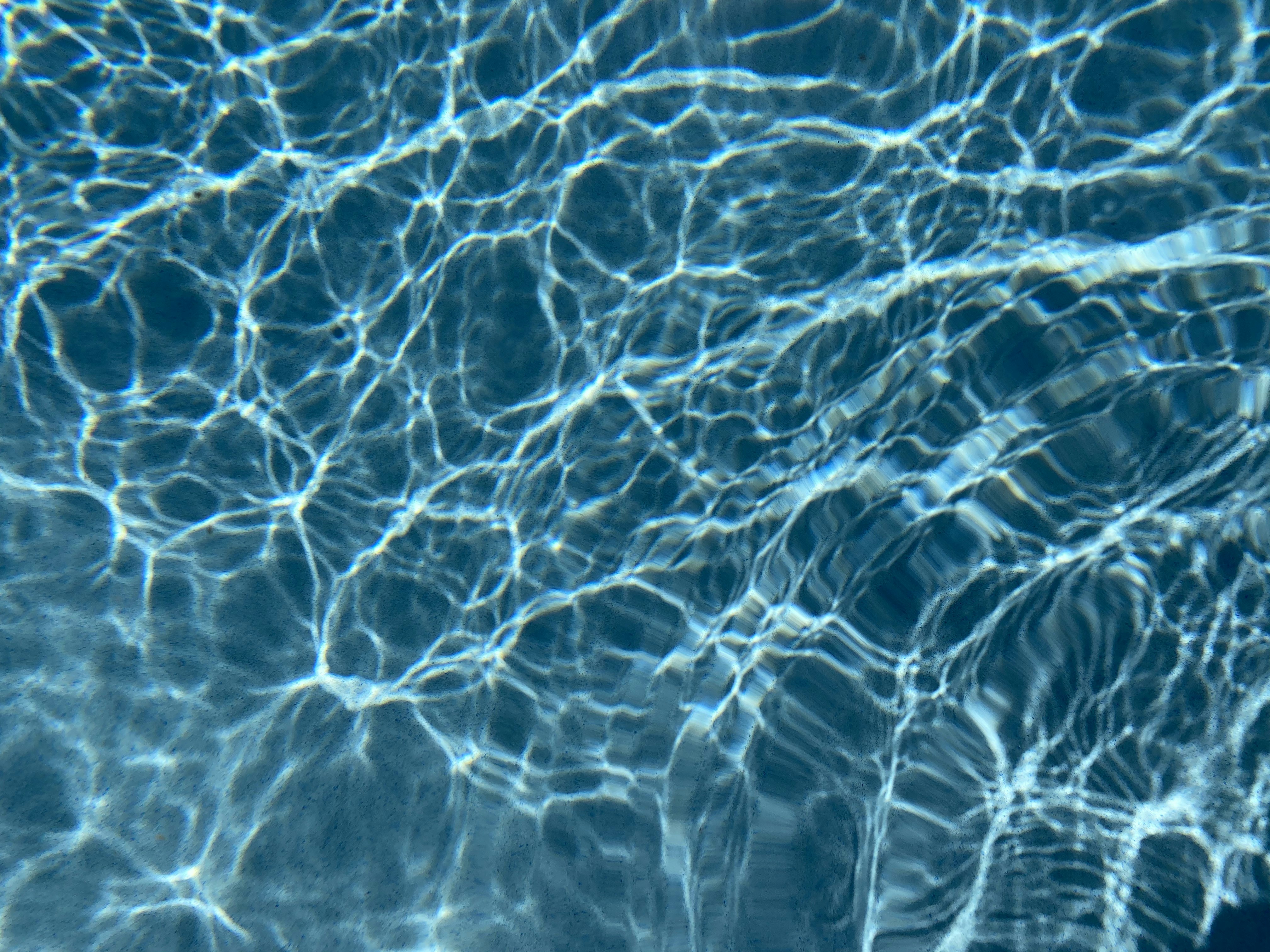 Photo by ayoo_twitch