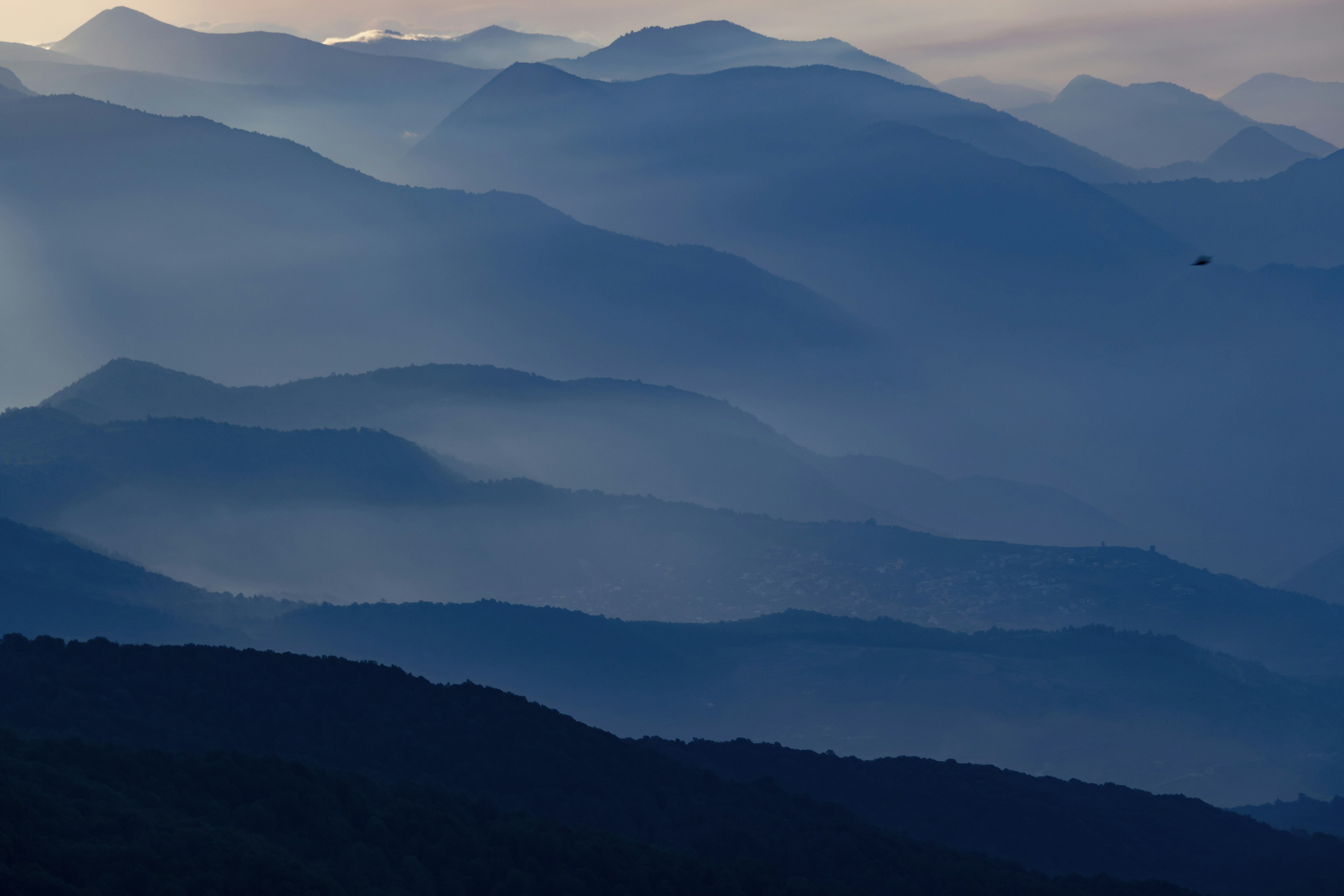 Photo by mostafa_meraji