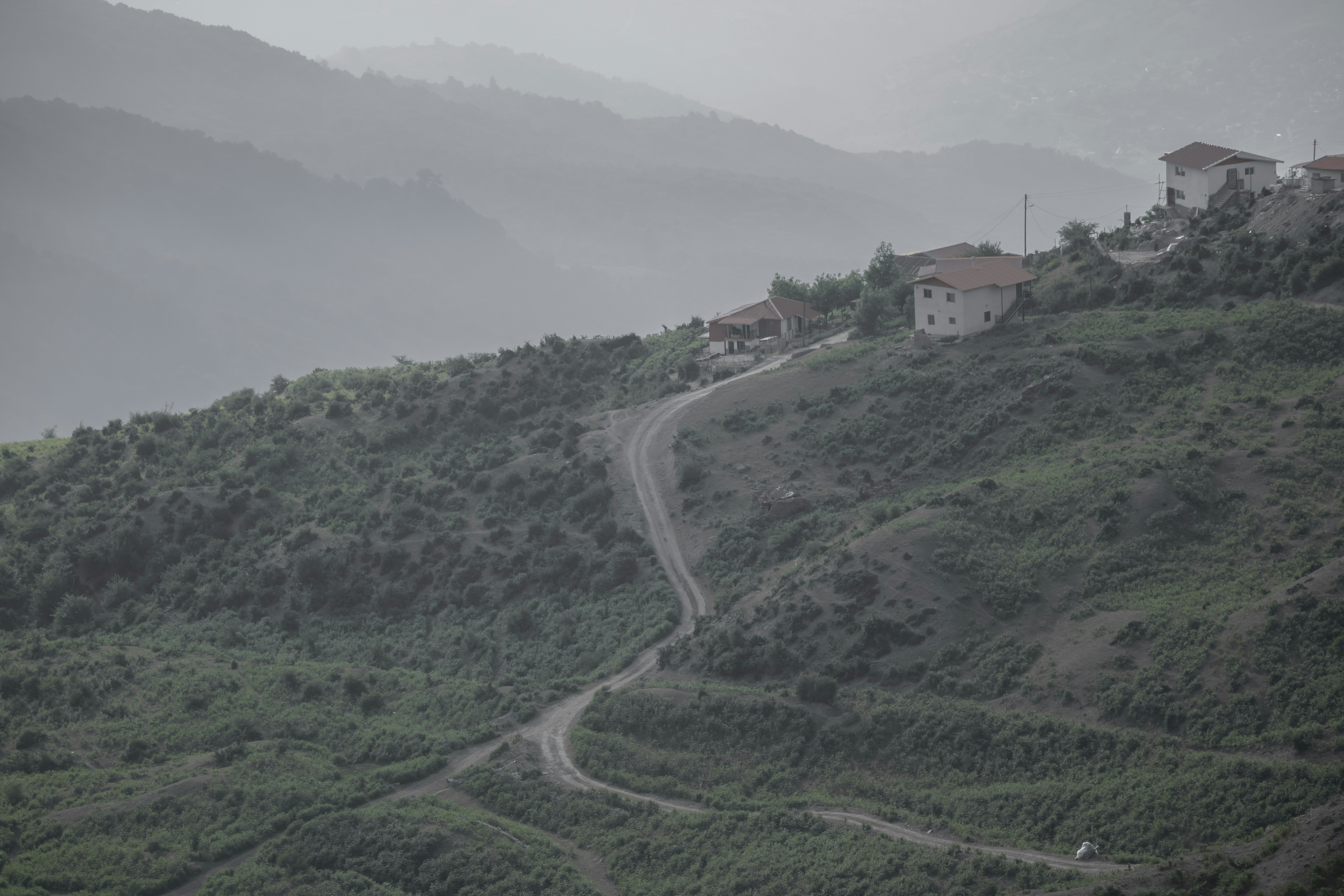 Photo by mostafa_meraji