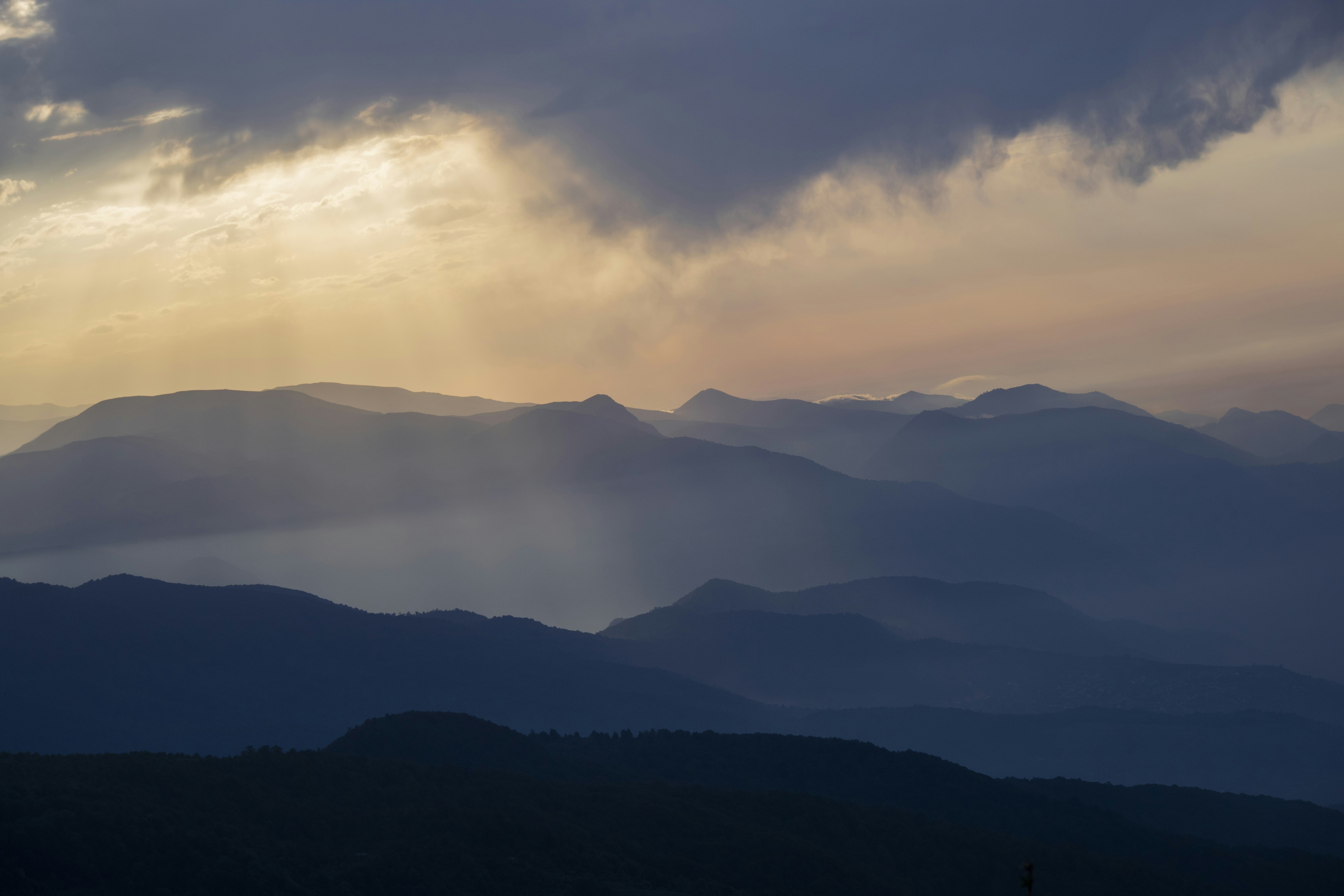 Photo by mostafa_meraji