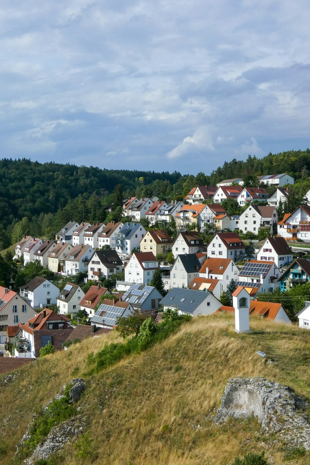 white and brown houses on green grass field during daytime