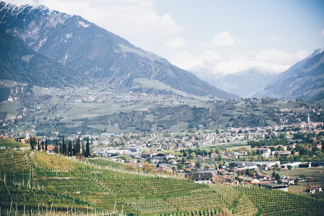 A picturesque valley scene featuring a quaint town nestled among rolling hills and vineyards. Snow-capped mountains loom in the distance, while lush greenery and scattered buildings fill the foreground. Tall, slender trees add texture to the terraced landscape.