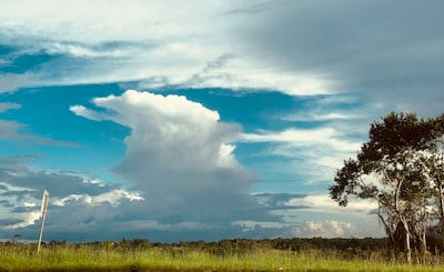 green grass field under blue sky and white clouds during daytime guyana google meet background