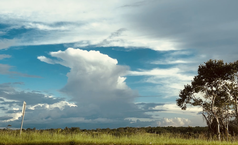 green grass field under blue sky and white clouds during daytime