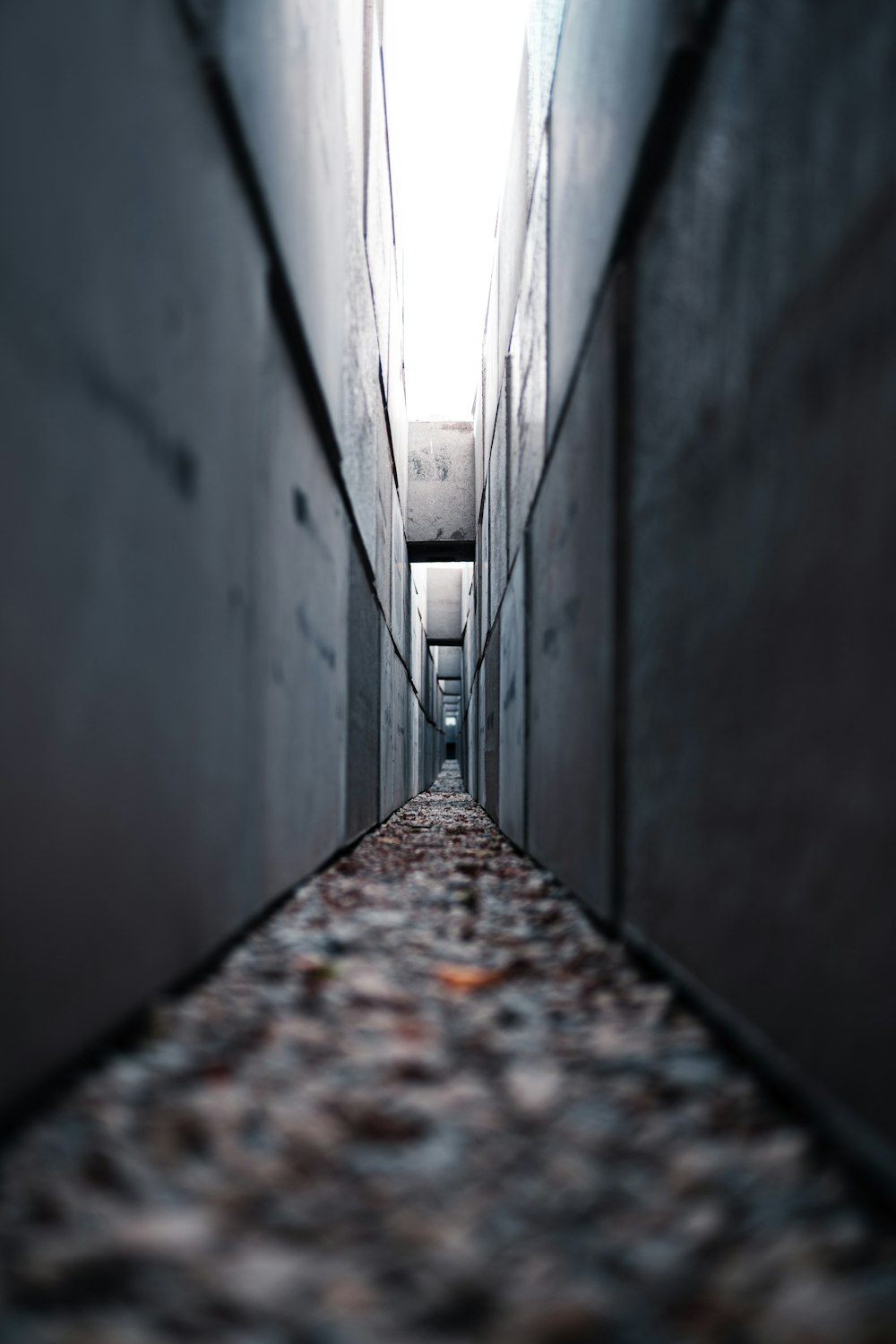 grey concrete hallway with dried leaves on the floor