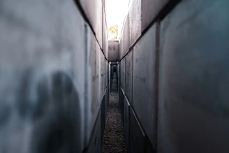 tunnel with light turned on during daytime