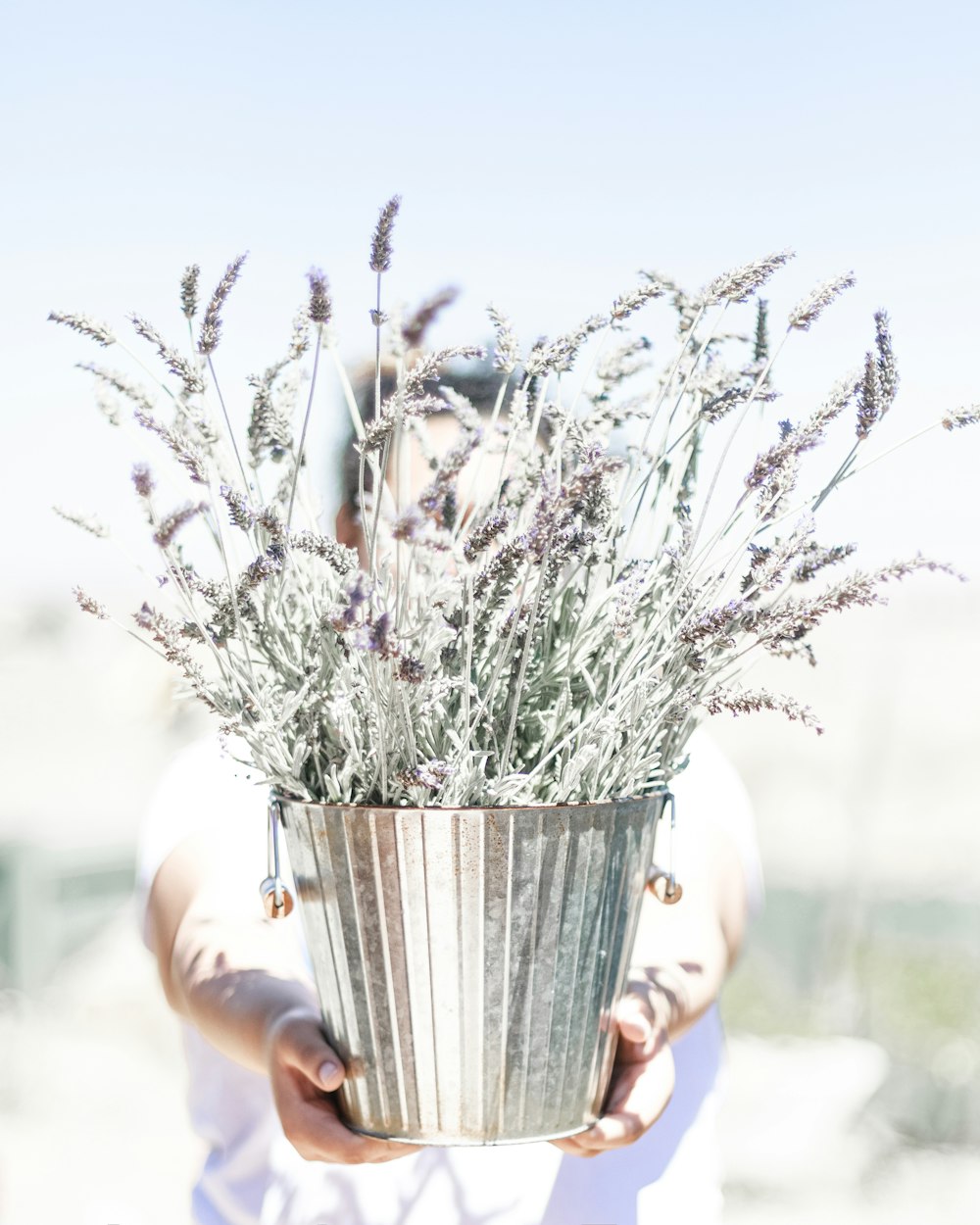 white flowers in gray steel vase