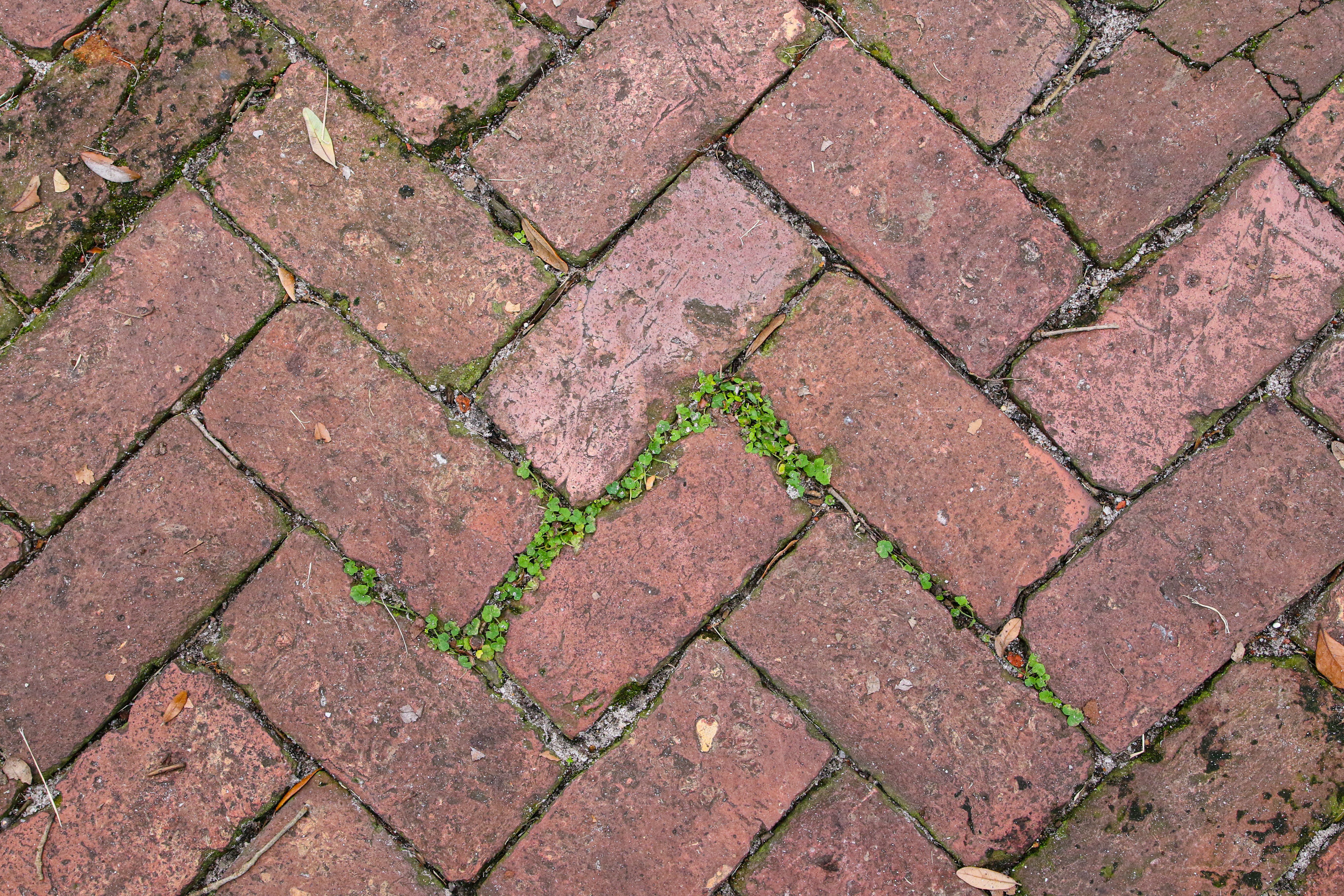 brown and green brick floor