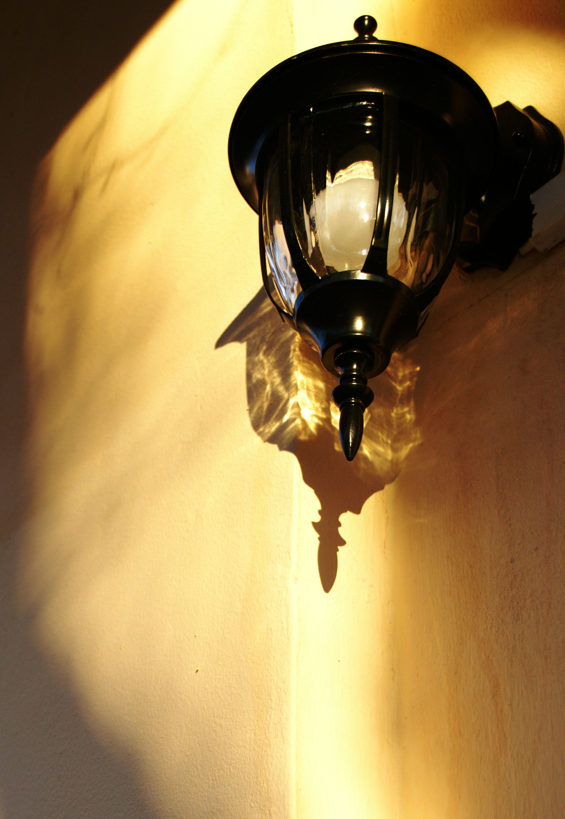 Photo by mrmoroshkin