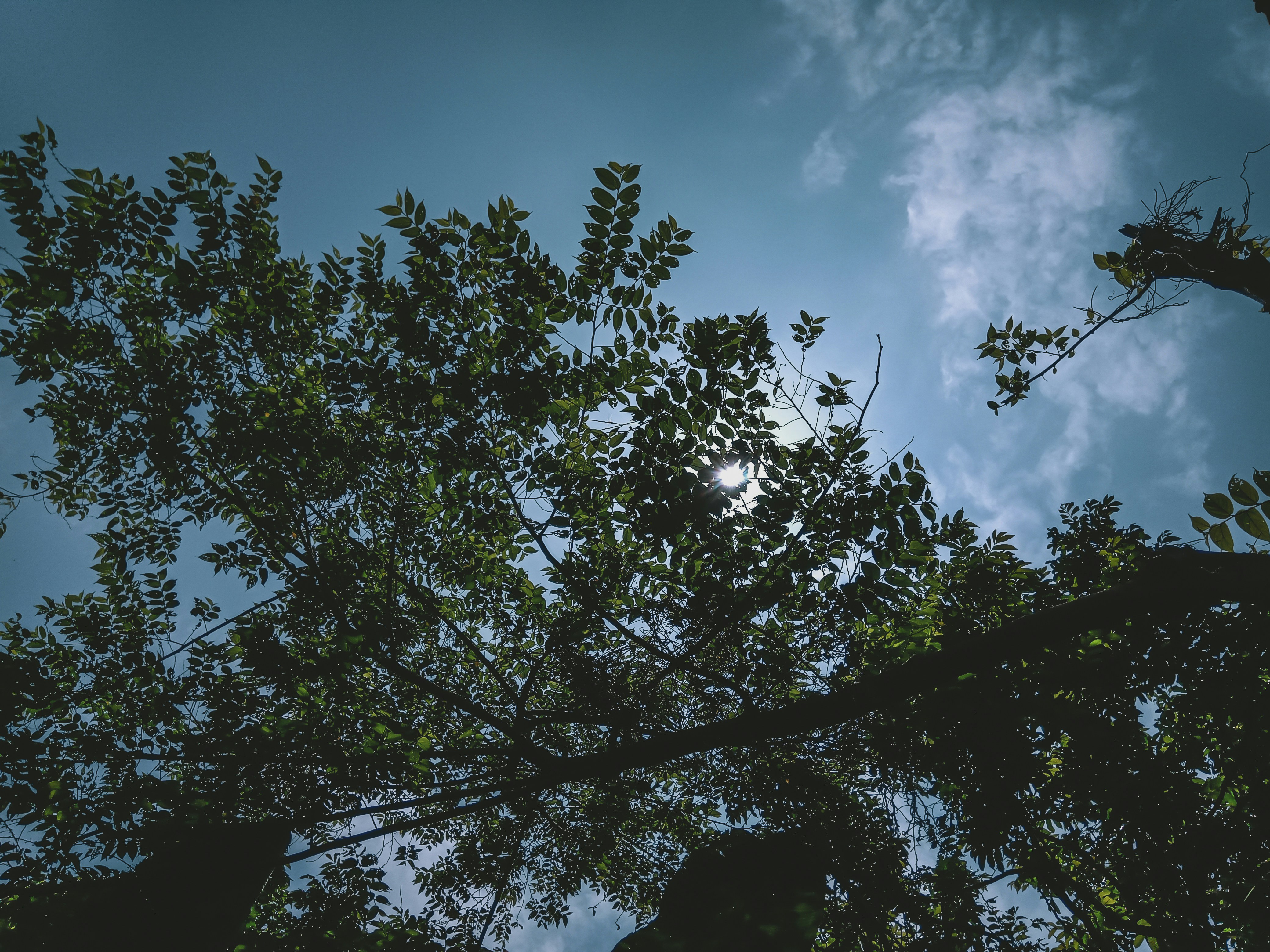 Photo by monirhasnan