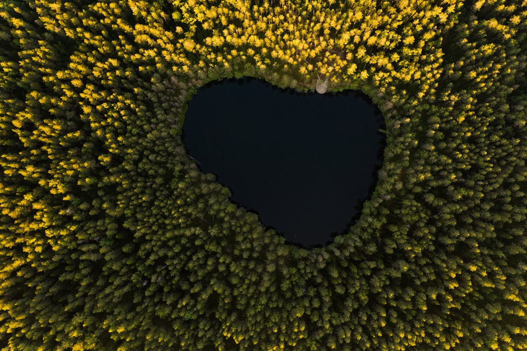 green and yellow heart shaped hole