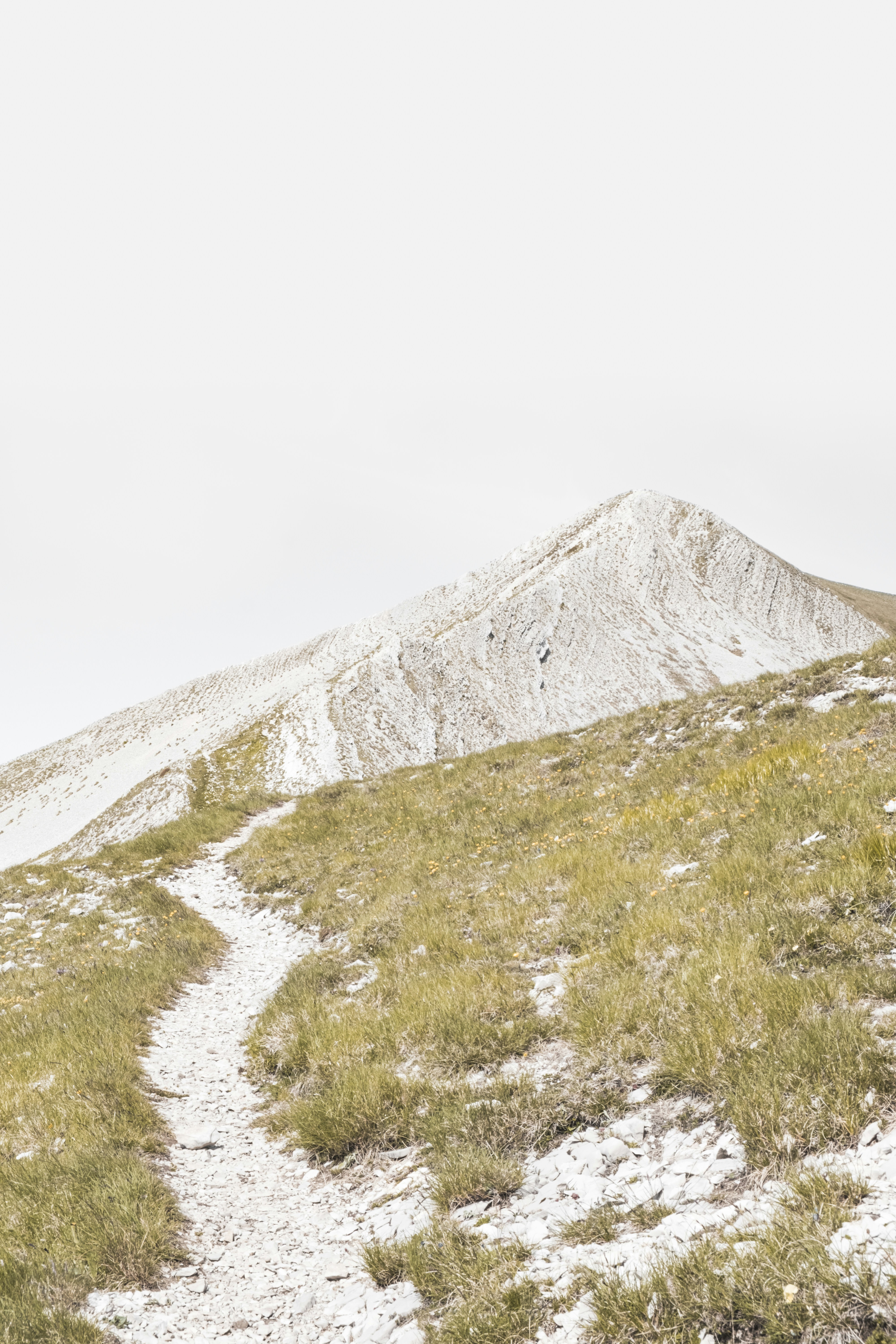 Scotland jersey euro